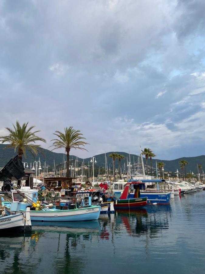 Studio 150 M De Plage Golfe De Saint-Tropez 滨海卡瓦莱尔 外观 照片