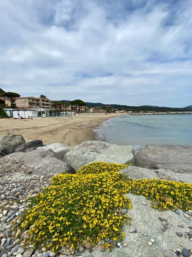 Studio 150 M De Plage Golfe De Saint-Tropez 滨海卡瓦莱尔 外观 照片