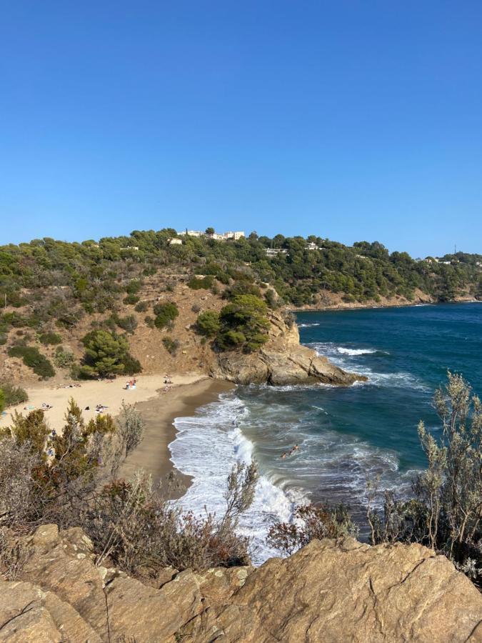 Studio 150 M De Plage Golfe De Saint-Tropez 滨海卡瓦莱尔 外观 照片